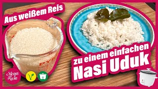 Nasi Uduk Basisrezept Ein Unbekannter Genuss Ganz Einfach Mit Dem Reiskocher Zubereitet [upl. by Lieno]