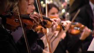 RTÉ National Symphony Orchestra WHAT WE DO [upl. by Darline]