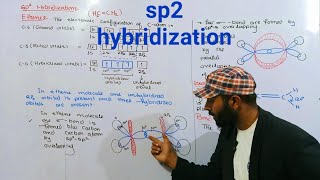 sp2 hybridization  Explaintion of ethene according to sp2 hybridization  11th class chemistrych6 [upl. by Nodnek]