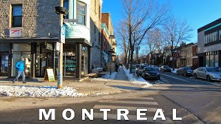 Exploring Montreal Neighborhood La PetitePatrie between Beaubien and Rosemont stations [upl. by Marva206]