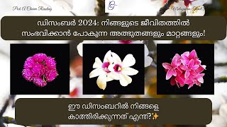 ഡിസംബർ 2024 നിങ്ങളുടെ ജീവിതത്തിൽ സംഭവിക്കാൻ പോകുന്ന അത്ഭുതങ്ങളും മാറ്റങ്ങളും malayalamtarot [upl. by Eilah]