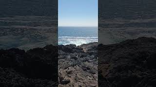 Tofino Artist loop travel britishcolumbia nature beach [upl. by Hartill]