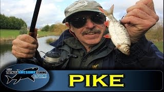 Pike fishing tips  Live Baiting by TAFishing Show [upl. by Atirac763]