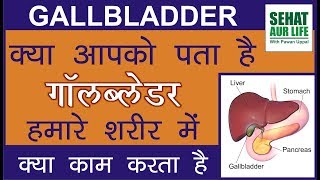 Gallbladder Function Why You Need A Gallbladder [upl. by Ecirtaeb]