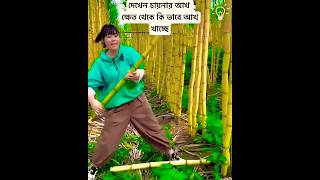 China awesome videos bloggerviralvideo onlineshopping foodbloggerYaseen Molla VIog funny [upl. by Neal]