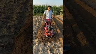 4WD diesel high horsepower micro tiller rotary tillage weeding ditching soil cultivation double [upl. by Ias]