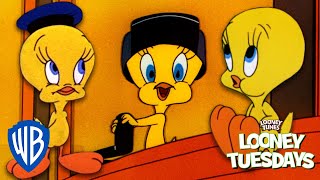 Looney Tuesdays  Top 10 Cutest Moments from Tweety Bird 🐥  Looney Tunes  WB Kids [upl. by Rosalind]