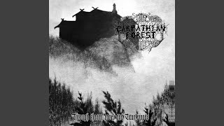 Carpathian Forest [upl. by Doralyn]