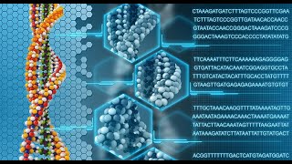 Understanding Genotyping Technologies Methods and Applications 3 Minutes [upl. by Akcira]