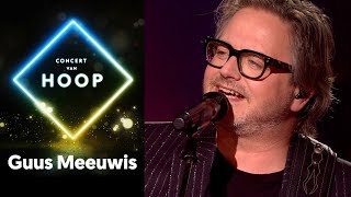 PROOSTEN  GUUS MEEUWIS  Concert van hoop [upl. by Ocko]