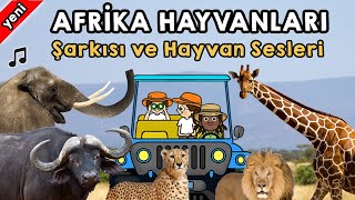 Safari  Afrika Hayvanları Şarkısı ve Hayvan Sesleri [upl. by Eylsel297]