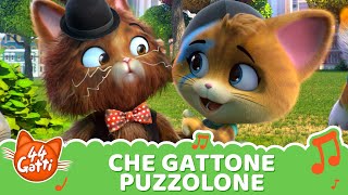 44GattiIT  Canzone quotChe gattone puzzolonequot VIDEOCLIP [upl. by Kline]