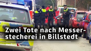 Zwei Männer in Billstedt erstochen  Polizei fahndet nach Täter [upl. by Adnilam]