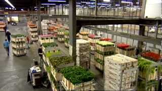 Infloor chain conveyor system for flower transport at Flora Holland Rijnsburg auction by Dematic NV [upl. by Ejroj]