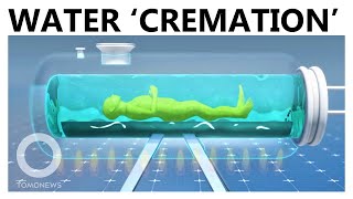 Aquamation Water Cremation The EcoFriendly Burial Chosen by Desmond Tutu [upl. by Peta]