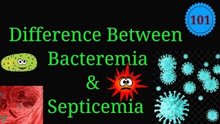 Difference Between Bacteremia and Septicemia EnteMicrobialWorldmicrobiology infection bacteria [upl. by Matthei]