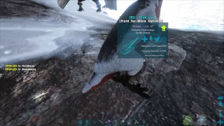 ARK Survival evolved Hesperornis golden eggs How to get them full explenation [upl. by Ahcropal532]