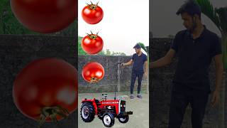 Rounding tomato to Alto Rollar Jcb amp Tractor  Vehicles names magic video [upl. by Phalan]