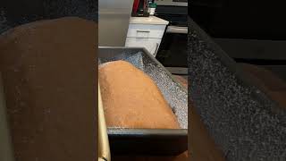 Pumpernickel Bread Proofing [upl. by Adnavoj]