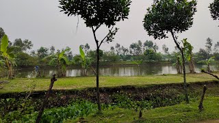 তওবা  প্রাতভ্রমণের কথন  পর্ব  ১৮  কাজী আব্দুল হালিম সানী  Kazi Abdul Halim Sunny [upl. by Anatola]