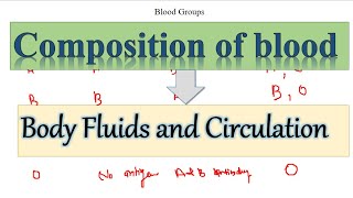 BODY FLUIDS AND CIRCULATION Composition of body fluid Part1 [upl. by Brenda]