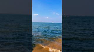 Chembarambakkam Lake🌊 nature lake chembarambakkamlake youtubeshorts [upl. by Hannavahs]