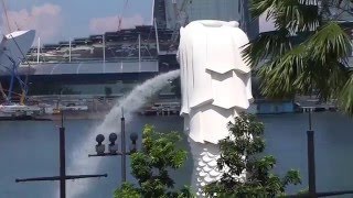 The Original Merlion Official Tourism Icon Of Singapore And Cub  Merlion Park [upl. by Russom571]