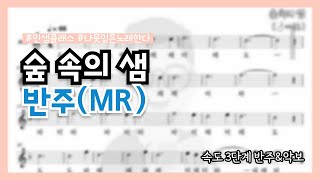 숲 속의 샘  알토리코더 반주 속도 3단계  왼손 연습 [upl. by Vrablik]