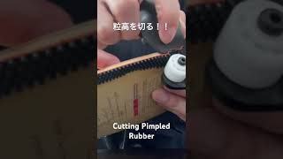 Cutting Pimpled Rubber 粒高ラバーを切る！卓球専用ラバーカッター [upl. by Matelda]