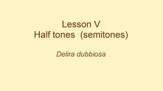 Vaccai Metodo pratico di canto italiano  Lesson V Halftones semitones Delira dubbiosa 8 [upl. by Robison]