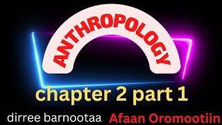 Anthropology Chapter 2 part 1 SUBFIELDS OF ANTHROPPLOGY by Afaan Oromoo [upl. by Hagai205]