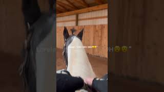 This was WAY too much fun😜 foryou horse saddleseat saddlebred equestrian horseedit edit [upl. by Nuj]