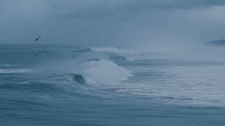 Serenity on the Shore Ocean Waves Relaxation Video [upl. by Hartfield]