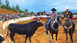 JARIPEO DE TOROS BRAVOS BUSCA CABALLOS Y DE CAJON LA TENENCIA MORELOS MICHOACAN 06 DE OCTUBRE 2024 [upl. by Aleydis155]