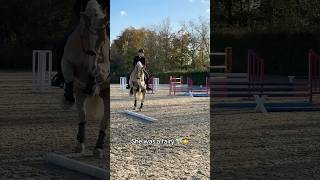 FAIL 🧚🏻🌟 pferd equestrian [upl. by Staley853]