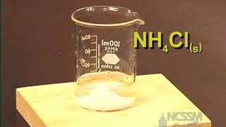 Dissolving of NH4Cl An Endothermic Process [upl. by Ahsek]