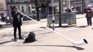 Alphorn Playing in Zurich [upl. by Eula]