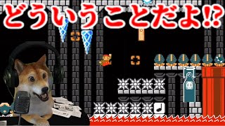 チビの状態で空中浮遊だと鬼畜ワールド再び【マリオメーカー2 Super Mario Maker 2 DOG】 [upl. by Ahrendt101]