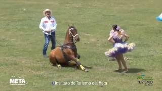 Show Ecuestre de Fugitivo el caballo que baila joropo [upl. by Seldon153]