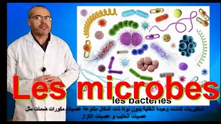 les microbes [upl. by Airamas]