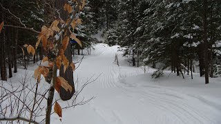 Nouveaux sentiers pour la randonnée au Parc Éco Laurentides [upl. by Nueovas]