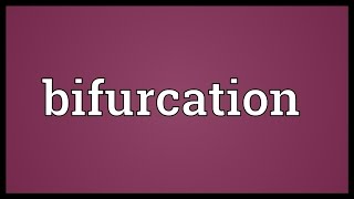 Bifurcation Meaning [upl. by Lemmueu]