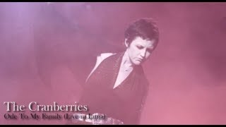 The Cranberries  Ode to My Family Live in Lima [upl. by Donell710]