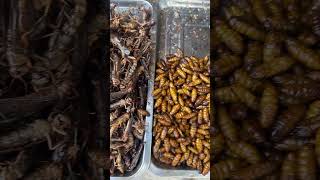 Eat Bug Worm and Insect Street Food in China Eating Insects shorts [upl. by Varick929]