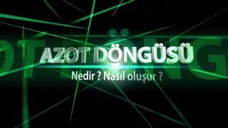 Azot Döngüsü Konu Anlatımı ve Animasyon HD [upl. by Gruchot]