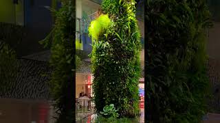 Changi airport singapore airport beautiful nature [upl. by Bale]