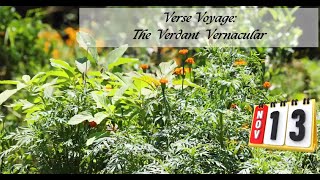 The Verdant Vernacular [upl. by Atikihs]