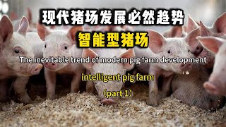 The inevitable trend of modern pig farm development—— intelligent pig farm（part 1） [upl. by Aubigny]