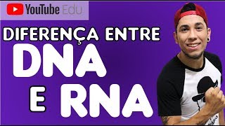 Aula 29 Diferenças entre DNA e RNA  Biologia com Patrick Gomes [upl. by Portuna]