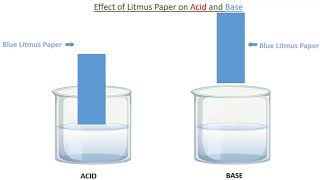 Red and Blue Litmus Paper in Acid and Alkali A Reversible Reaction [upl. by Kwabena]